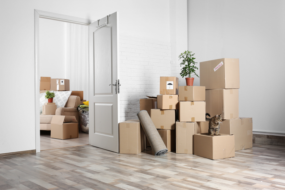 Move in and move out cleaning